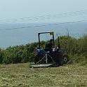 2 Clearing the Field (16)